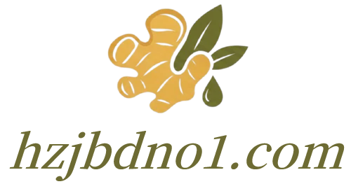 hzjbdno1.com